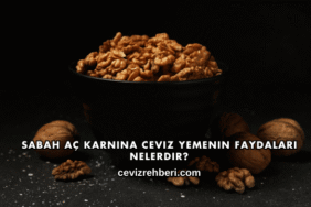 Sabah Aç Karnına Ceviz Yemenin Faydaları Nelerdir?