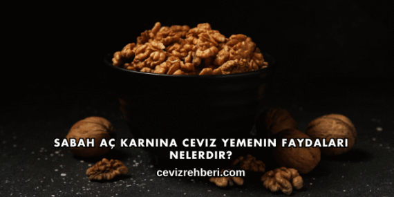 Sabah Aç Karnına Ceviz Yemenin Faydaları Nelerdir?