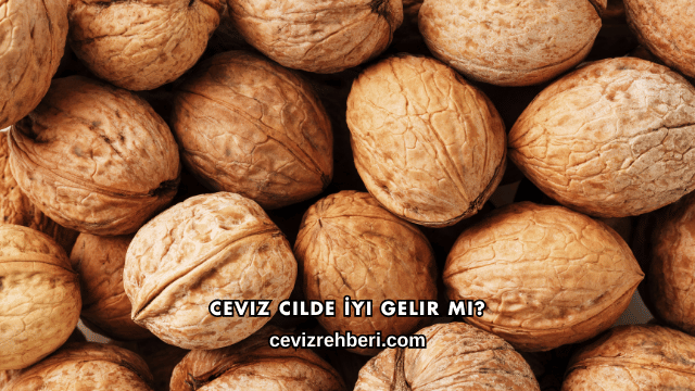 Ceviz Cilde İyi Gelir mi?