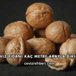 Ceviz Fidanı Kaç Metre Arayla Dikilir
