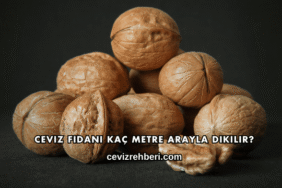 Ceviz Fidanı Kaç Metre Arayla Dikilir