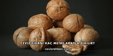 Ceviz Fidanı Kaç Metre Arayla Dikilir