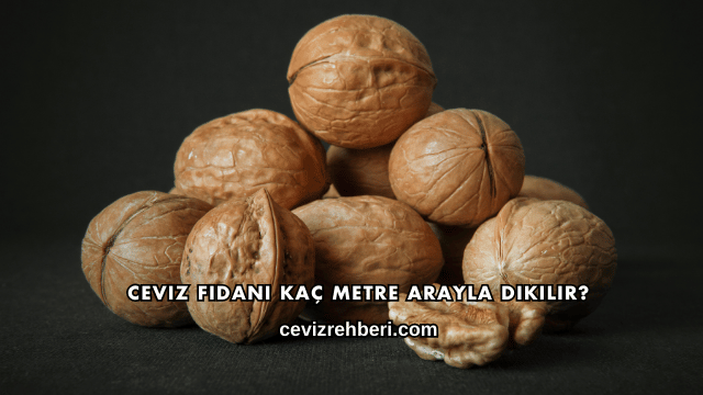 Ceviz Fidanı Kaç Metre Arayla Dikilir