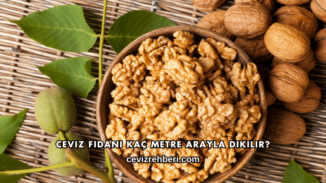 Ceviz Fidanı Kaç Metre Arayla Dikilir
