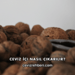 Ceviz İçi Nasıl Çıkarılır?