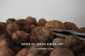 Ceviz İçi Nasıl Çıkarılır?