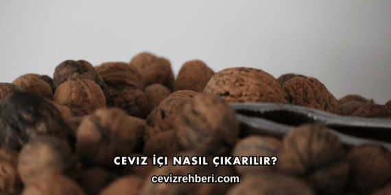 Ceviz İçi Nasıl Çıkarılır?