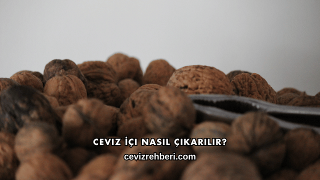 Ceviz İçi Nasıl Çıkarılır?