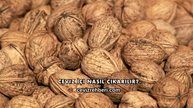 Ceviz İçi Nasıl Çıkarılır?