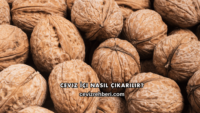 Ceviz İçi Nasıl Çıkarılır?