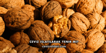 Ceviz Islatılarak Yenir mi?