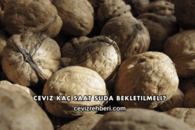 Ceviz Kaç Saat Suda Bekletilmeli?