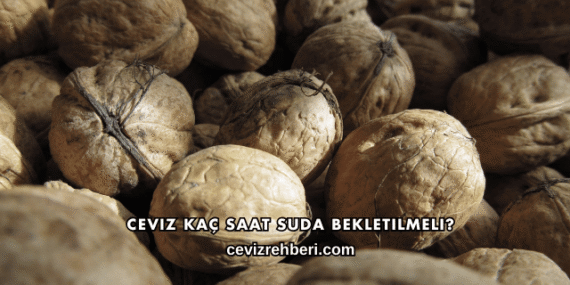 Ceviz Kaç Saat Suda Bekletilmeli?
