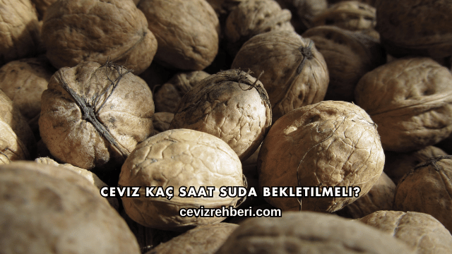Ceviz Kaç Saat Suda Bekletilmeli?