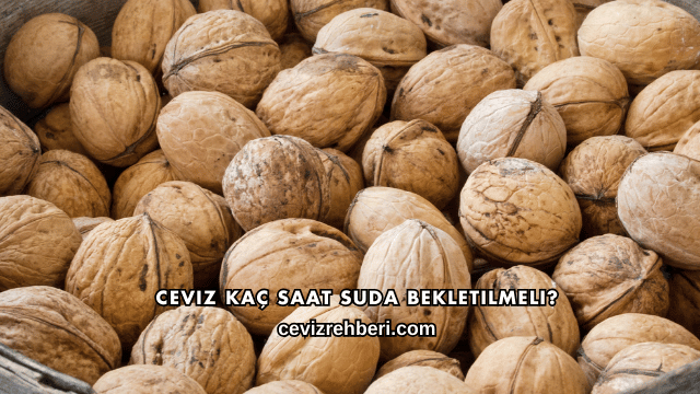Ceviz Kaç Saat Suda Bekletilmeli?