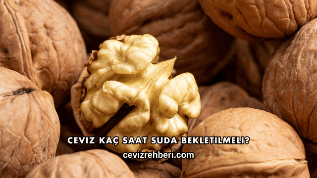 Ceviz Kaç Saat Suda Bekletilmeli?