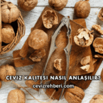 Ceviz Kalitesi Nasıl Anlaşılır?