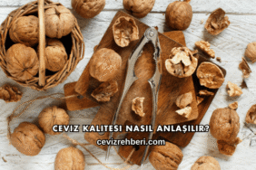 Ceviz Kalitesi Nasıl Anlaşılır?