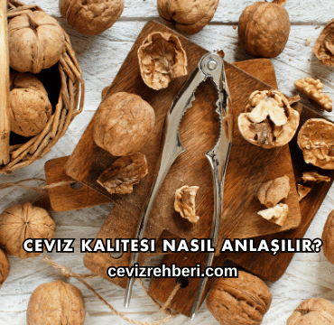 Ceviz Kalitesi Nasıl Anlaşılır?
