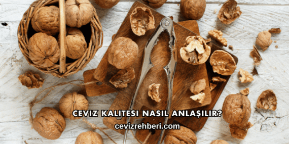 Ceviz Kalitesi Nasıl Anlaşılır?