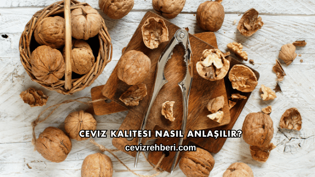 Ceviz Kalitesi Nasıl Anlaşılır?