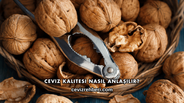 Ceviz Kalitesi Nasıl Anlaşılır?