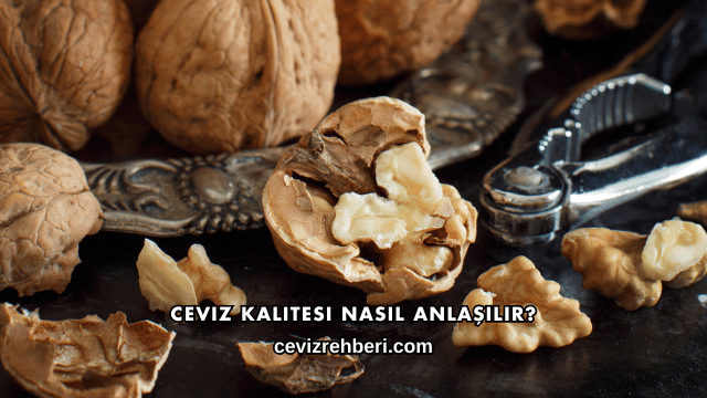 Ceviz Kalitesi Nasıl Anlaşılır?