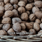 Ceviz Nasıl Kırılır?