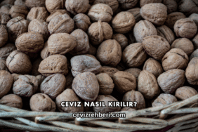 Ceviz Nasıl Kırılır?