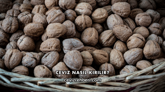 Ceviz Nasıl Kırılır?