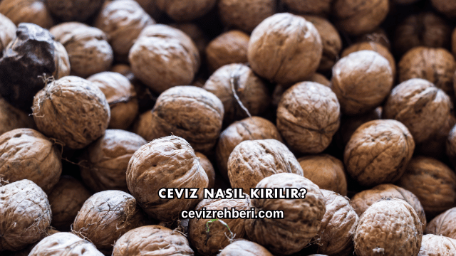 Ceviz Nasıl Kırılır?
