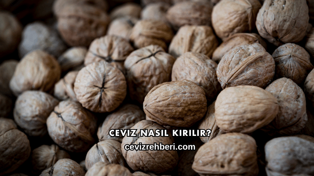Ceviz Nasıl Kırılır?