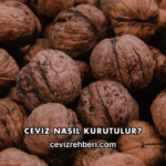 Ceviz Nasıl Kurutulur?