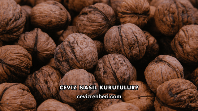 Ceviz Nasıl Kurutulur?