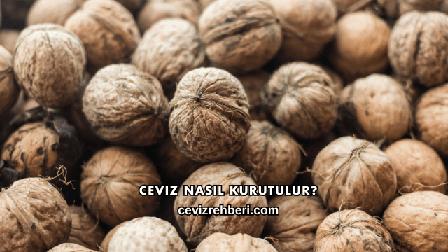 Ceviz Nasıl Kurutulur?