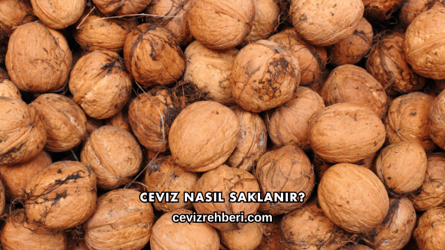 Ceviz Nasıl Saklanır?