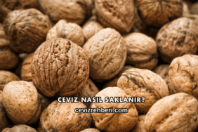 Ceviz Nasıl Saklanır?