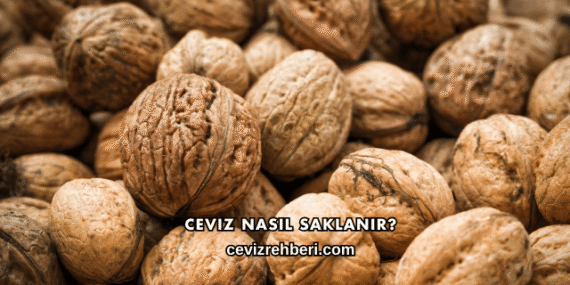 Ceviz Nasıl Saklanır?