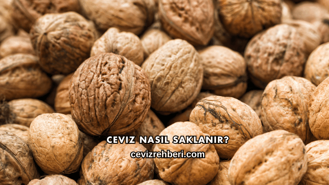 Ceviz Nasıl Saklanır?