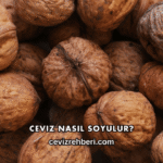 Ceviz Nasıl Soyulur?