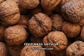 Ceviz Nasıl Soyulur?