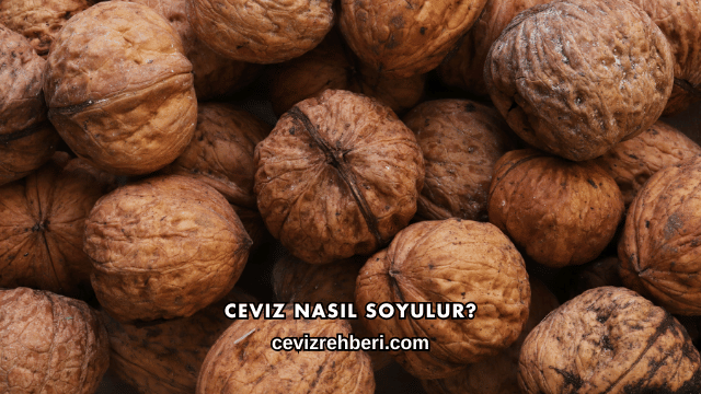 Ceviz Nasıl Soyulur?