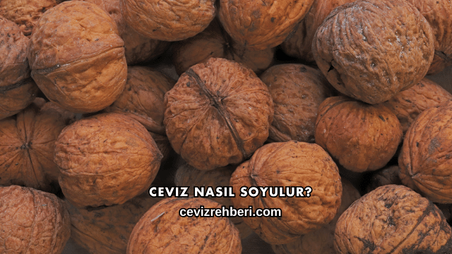 Ceviz Nasıl Soyulur?