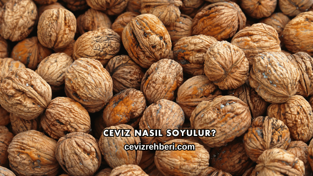 Ceviz Nasıl Soyulur?