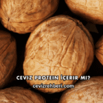 Ceviz Protein İçerir mi?