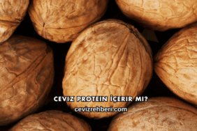 Ceviz Protein İçerir mi?
