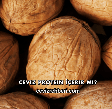 Ceviz Protein İçerir mi?