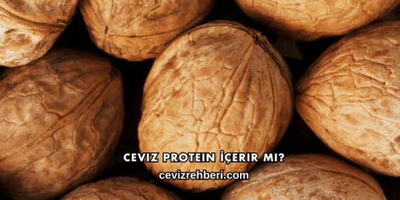 Ceviz Protein İçerir mi?