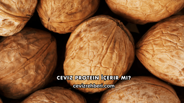 Ceviz Protein İçerir mi?