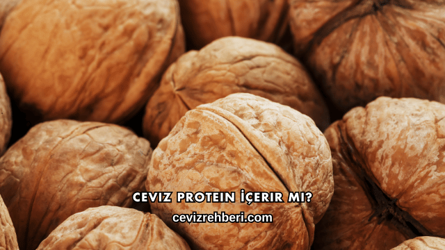Ceviz Protein İçerir mi?